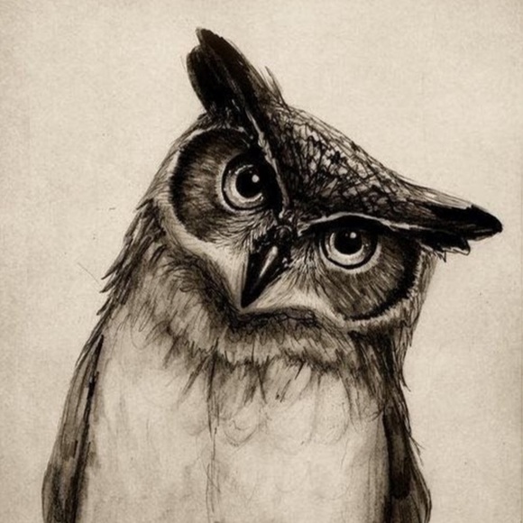 jrm_owl